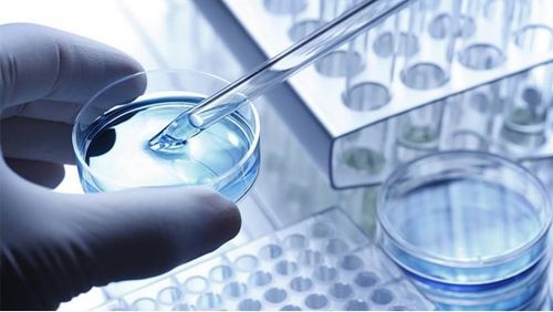 龍池牡丹 緊抓二產(chǎn)，深挖科研，以技術服務驅(qū)動牡丹精品駛?cè)胧袌鏊{海